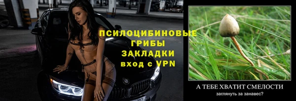 спиды Медногорск