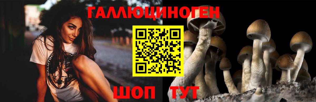 Кинель  Галлюциногенные грибы GOLDEN TEACHER  Галлюциногенные грибы мицелий  Вход с VPN 
